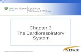 Chapter  3 The Cardiorespiratory  System