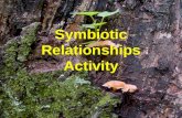 Symbiotic Relationships Activity