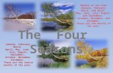 The  Four  Seasons