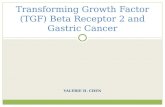 Transforming Growth Factor (TGF) Beta Receptor 2 and Gastric Cancer