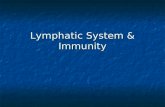 Lymphatic System & Immunity