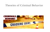 Theories of Criminal Behavior