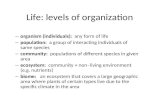 Life: levels  of  organization