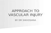 APPROACH TO VASCULAR INJURY