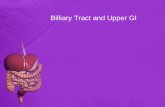 Billiary Tract and Upper GI