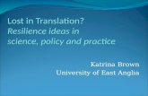 Lost in Translation? Resilience ideas in  science, policy and practice