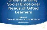 Understanding  Social Emotional Needs of Gifted Learners