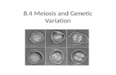 8.4 Meiosis and Genetic Variation