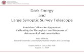 Dark Energy and Large Synoptic Survey Telescope
