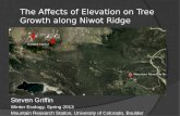 The Affects of Elevation on Tree Growth along Niwot Ridge