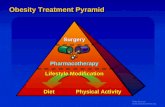 Obesity Treatment Pyramid