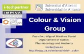 Colour & Vision Group