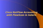 Cisco NetFlow Accounting with FlowScan in Solaris