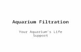 Aquarium Filtration