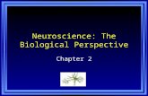 Neuroscience: The Biological Perspective