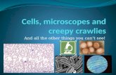 Cells, microscopes and creepy crawlies