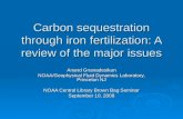 Carbon sequestration through iron fertilization: A review of the major issues