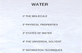 1º THE MOLECULE 2º PHYSICAL PROPERTIES 3º STATES OF WATER 4º  THE UNIVERSAL SOLVENT