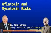 Aflatoxin and  Mycotoxin  Risks
