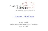 Gizmo Databases
