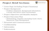 Project Brief Sections