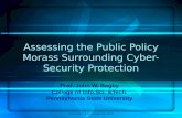 Assessing the Public Policy Morass Surrounding Cyber-Security Protection