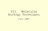 VII.  Molecular Biology Techniques