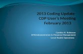 2013 Coding Update  CDP User’s Meeting February 2013