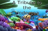 A Tribute to the Undersea World