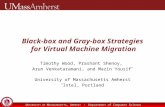 Black-box and Gray-box Strategies  for Virtual Machine Migration