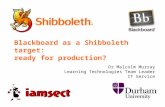 Blackboard as a Shibboleth target: ready for production?