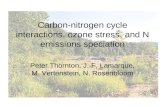 Carbon-nitrogen cycle interactions, ozone stress, and N emissions speciation