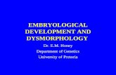 EMBRYOLOGICAL DEVELOPMENT AND DYSMORPHOLOGY