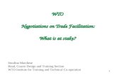 WTO  Negotiations on  Trade  Facilitation: W hat is  at  s take ?