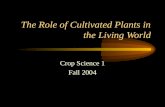 The Role of Cultivated Plants in the Living World