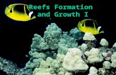 Reefs Formation  and Growth I