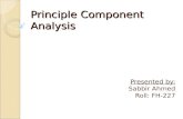 Principle Component Analysis
