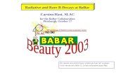 Radiative and Rare B-Decays at BaBar