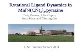 Rotational Ligand Dynamics in Mn[N(CN) 2 ] 2 .pyrazine