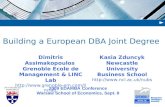 Building a European DBA Joint Degree