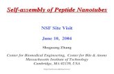 Self-assembly of Peptide Nanotubes NSF Site Visit June 10,  2004 Shuguang Zhang