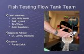 Fish Testing Flow Tank Team