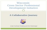 Wisconsin  Cross Sector Professional Development Initiative