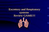 Excretory and Respiratory systems  Review GAME!!!