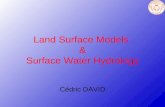 Land Surface Models  & Surface Water Hydrology