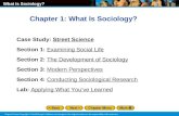 Chapter 1: What Is Sociology? Case Study:  Street Science Section 1: Examining Social Life