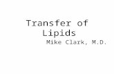 Transfer of Lipids Mike Clark, M.D.