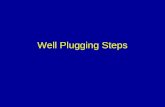 Well Plugging Steps