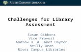 Challenges for Library Assessment