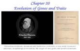 Chapter 20 Evolution of Genes and Traits